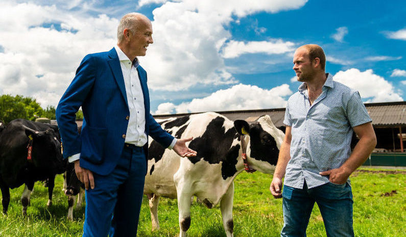 20-06-19-0500vion-dierenarts